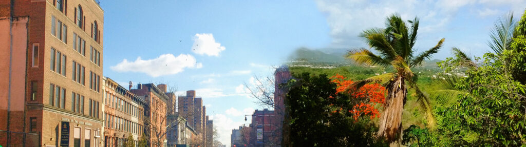 Leenda Bonilla, Sharing the Same Cielo
Botanica Collective series, 2021