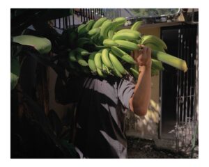 202312_04_05_DRplatanoselfportrait 001