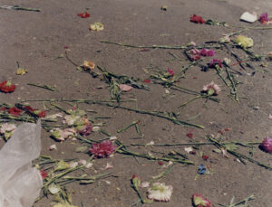 Paloquemao_Olvido_Pa_Recordar_Mateo_Arciniegas_Huertas